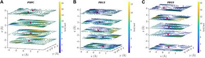 Water Dynamics in a Peptide-appended Pillar[5]arene Artificial Channel in Lipid and Biomimetic Membranes